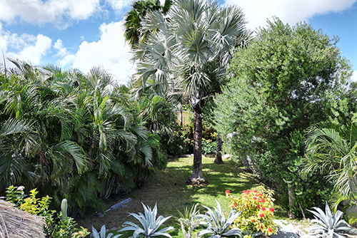 Luxury villa on Curaçao Flamboyan for rent